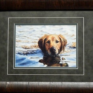May include: A watercolor painting of a golden retriever dog swimming in a lake. The dog's head is above the water, looking at the viewer with a gentle expression. The water is a light blue color with white foam.