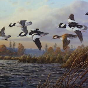 Terry Doughty &quot;Wind Riders&quot; Duck Art Print 24&quot; x 15.75&quot; SN