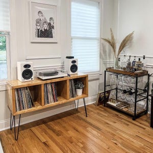 Vinyl Record holder -Solid Wood Furniture