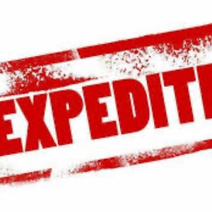 Expedite Skip the Queue and Have the Unit Shipped out within 2-3 Weeks Limit 1 Per Day