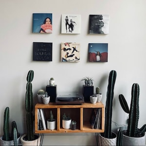 record table shown in living room with 6 albums hanging on wall and decorative plants