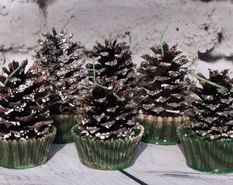 Pinecone fire starters