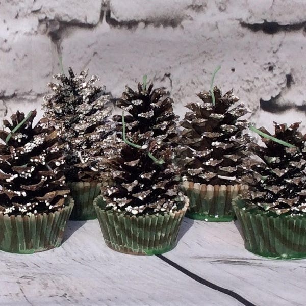 Pinecone fire starters