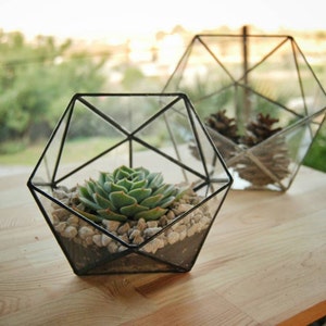 Geometric Glass Terrarium, Handmade Glass Terrarium, Indoor Planter, Glass Box, Gifts for Gardeners, Holiday Gifts, Terrarium Container
