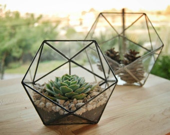 Geometric Glass Terrarium, Handmade Glass Terrarium, Indoor Planter, Glass Box, Gifts for Gardeners, Holiday Gifts, Terrarium Container