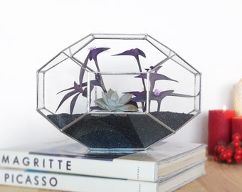 Customized Large Geometric Glass Terrarium Gifts for Gardeners Indoor Planter Glass Box  Orchid Planter Centerpiece Container  House Decor