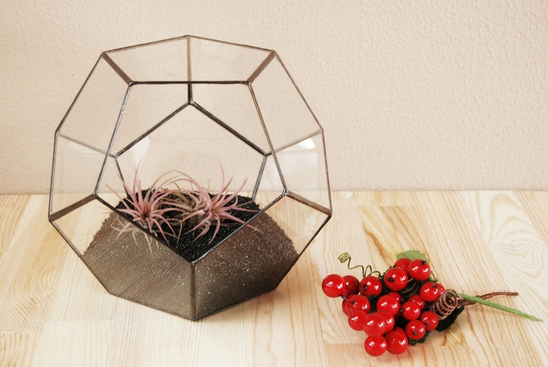 May include: A clear glass geometric terrarium with a black metal frame, filled with black sand and two pink air plants. A bunch of red berries with green stems is on the right side of the image.