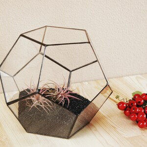 May include: A geometric glass terrarium with a black metal frame. The terrarium contains black sand and two pink air plants.