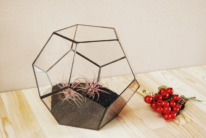 May include: A geometric glass terrarium with a black metal frame. The terrarium contains black sand and two pink air plants.