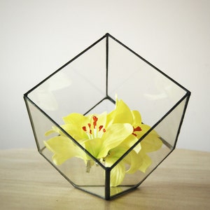 Large Geometric Terrarium, Handmade Terrarium, Stained Glass Terrarium, Indoor Gardening, Air Plant Holder, Glass Box, Succulent Planter