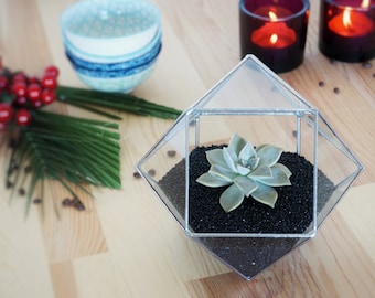 Geometric Glass Terrarium Container, Christmas Table Centerpiece, Holiday Gifts, Gift for Gardeners, Christmas Decor, Christmas Gift, Copper