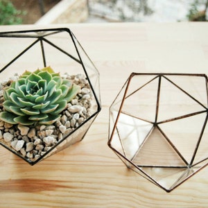 Small Geometric Glass Terrarium, Handmade Glass Box, Cactus Pod, Modern Planter, Indoor Gardening, Succulent Planter, Terrarium Container