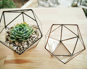 Piccolo terrario geometrico in vetro, scatola di vetro fatta a mano, baccello di cactus, fioriera moderna, giardinaggio interno, fioriera succulenta, contenitore per terrario