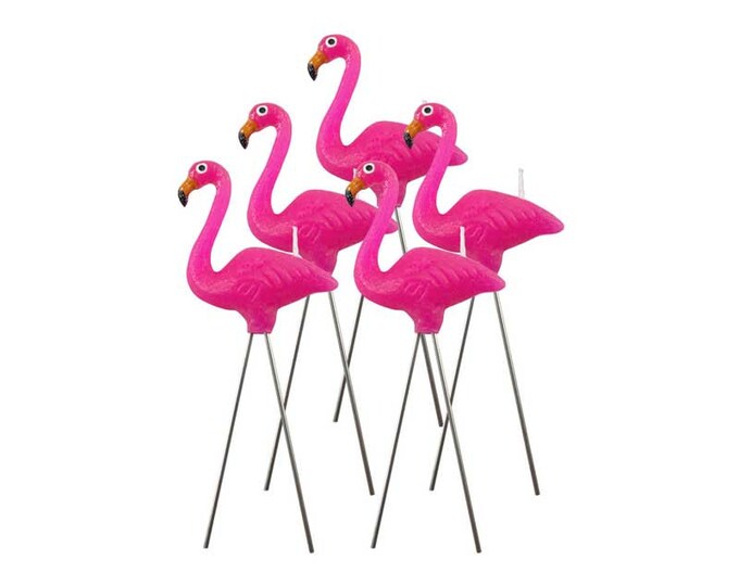 Flamingo Candles. Set of 5. Pink Flamingo Birthday Candle. Etsy