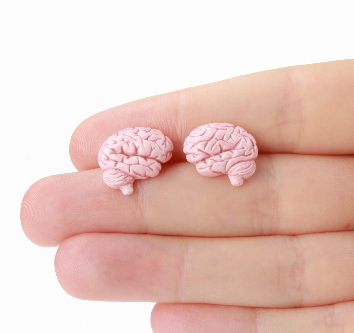 Ceramic Human Brain Earrings Brain Stud Pin Anatomical Brain Etsy