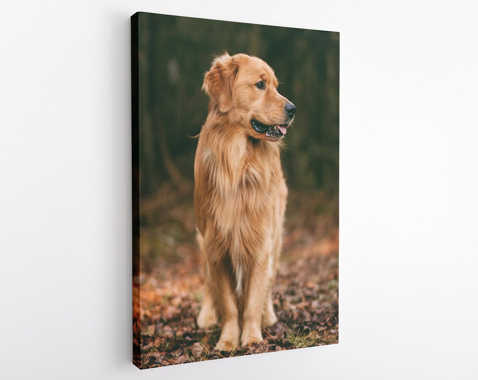 Personalized Dog Canvas Wall Art Pet Portrait From Photo Etsy