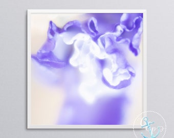 Iris Printable Photo, Purple Iris abstract print, square crop Instant download, botanical photography, floral picture, tranquil calming