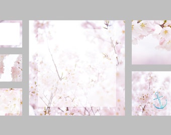 Set of 6 styled stock photos for social media |  Spring Cherry Blossom background | Pink Floral Instagram Canva marketing