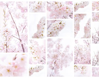 Pink Flowers Mockup Etsy