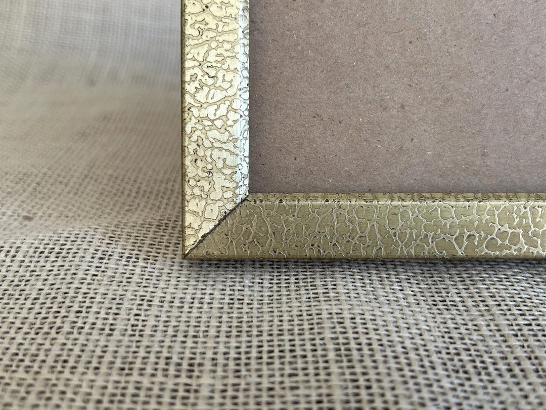 Sierra Modern Gold Small Python 5x7 Frame