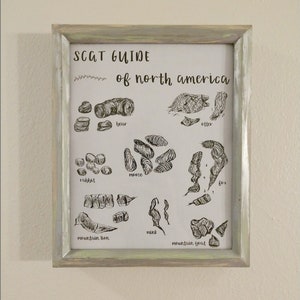 Animal Scat Poop Print - Wilderness Woodland Wildlife Nature Animal Droppings Field Guide - Bathroom Nursery Decor 8x10 Gift!