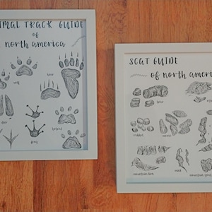 Animal Track and Scat Poop Guide, 2 Prints, Wilderness Wildlife Hunting Bathroom Nursery Decor 8x10