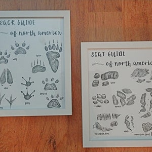 Animal Track and Scat Poop Guide, 2 Prints, Wilderness Wildlife Hunting Bathroom Nursery Decor 8x10