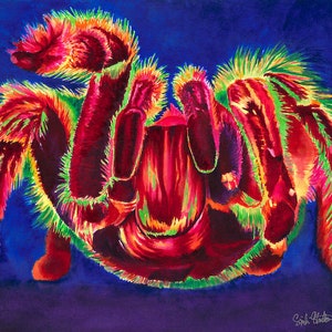 May include: A watercolor painting of a red and green tarantula spider with hairy legs. The spider is on a dark blue background.