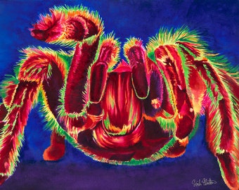Spider Art "Spidey" - Firmado Giclee Reproducción Impresión Acuarela Pintura Tarántula Obra de arte Decoración de pared Regalo Sinclair Stratton