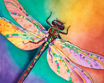Dragonfly Art "Illusions" - Firmado Giclee Reproducción Impresión Acuarela Pintura Vida Silvestre Obra de Arte Decoración de pared Regalo Sinclair Stratton