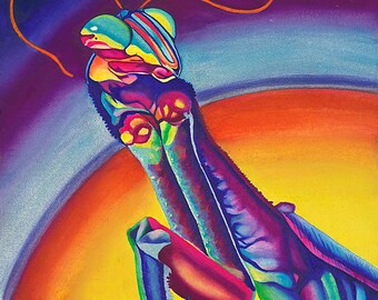 Arte de mantis religiosa "Mantis de Emmy" - Firmado Giclee Reproducción Impresión Acuarela Pintura Pintura de insectos Decoración de pared Regalo Sinclair Stratton