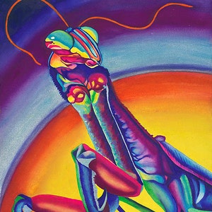 May include: A vibrant, colorful painting of a praying mantis with a yellow, orange, red, blue, green, and purple color scheme. The mantis is depicted in a dynamic pose with its legs outstretched.