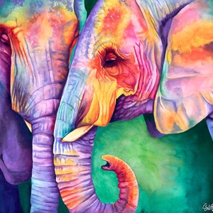 Elephant Ear - Limited edition signed print