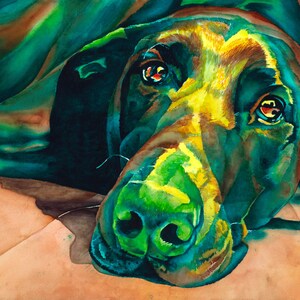 May include: A watercolor painting of a black dog's face. The dog's eyes are large and expressive, and the fur is painted in shades of green, yellow, and brown. The dog's nose is prominent and the mouth is closed.