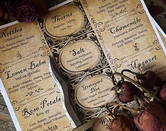 45 Apothecary Jar Labels Download and Print