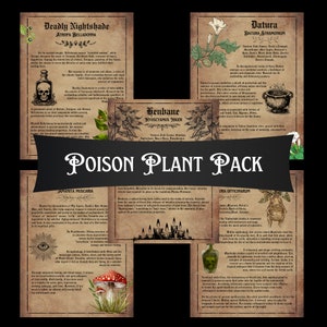 Poison Plants Download and Print Pack | Grimoire Pages, Green Witch, Herbalism, Herbs