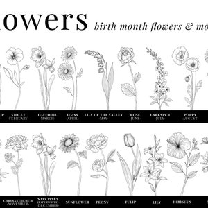 May include: Black and white line drawings of flowers, each representing a different month of the year. The flowers are arranged in two rows, with the top row showing January through September and the bottom row showing October through December. The text "flowers" and "birth month flowers & more" is at the top of the image.