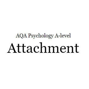 Psychology A-level Attachment Topic Digital Notes - Instant Download