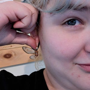 Real Cicada Wing Earrings - Whimsical Fairy CottageCore - Nature Inspired Jewelry - Lightweight and for Sensitive Ears - Ethical Goblincore