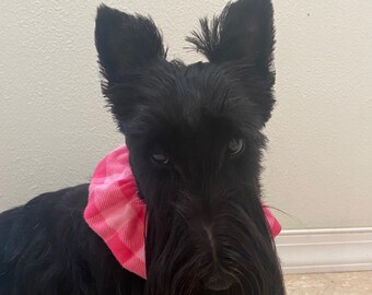 Pink Buffalo Plaid Ruffled Collar - Handmade