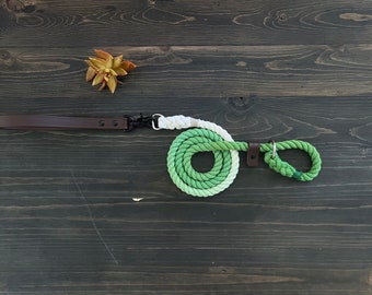 Ombre Slip Leash with Removable Vegan Leather Handle, Vegan Dog Leash, Vegan Lead, Ombre Dog Leash, Vegan Slip Lead