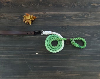 Ombre Slip Leash with Removable Vegan Leather Handle, Vegan Dog Leash, Vegan Lead, Ombre Dog Leash, Vegan Slip Lead