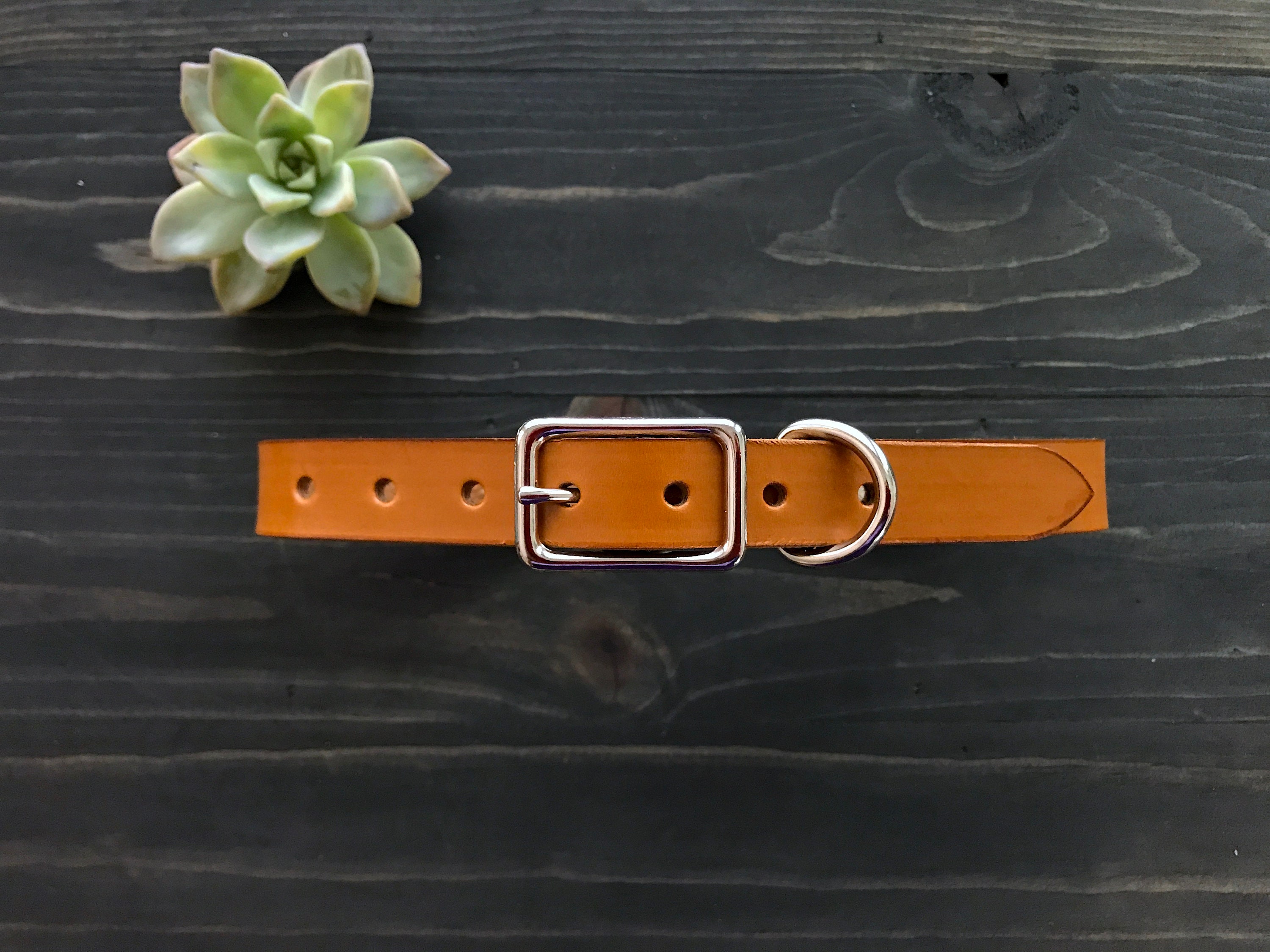NEW** Leather Dog Collar, Dog Collar, Handmade Dog Collar, Natural Le…