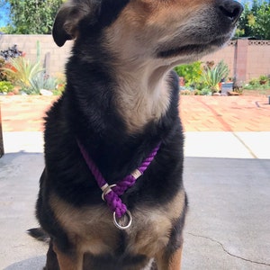 Ombre Dog Slip-on Collar, Rope Slip-on Collar, Dog Training Collar, Ombre Dog Collar, Choke Collar, Adjustable Dog Collar, Purple + Silver
