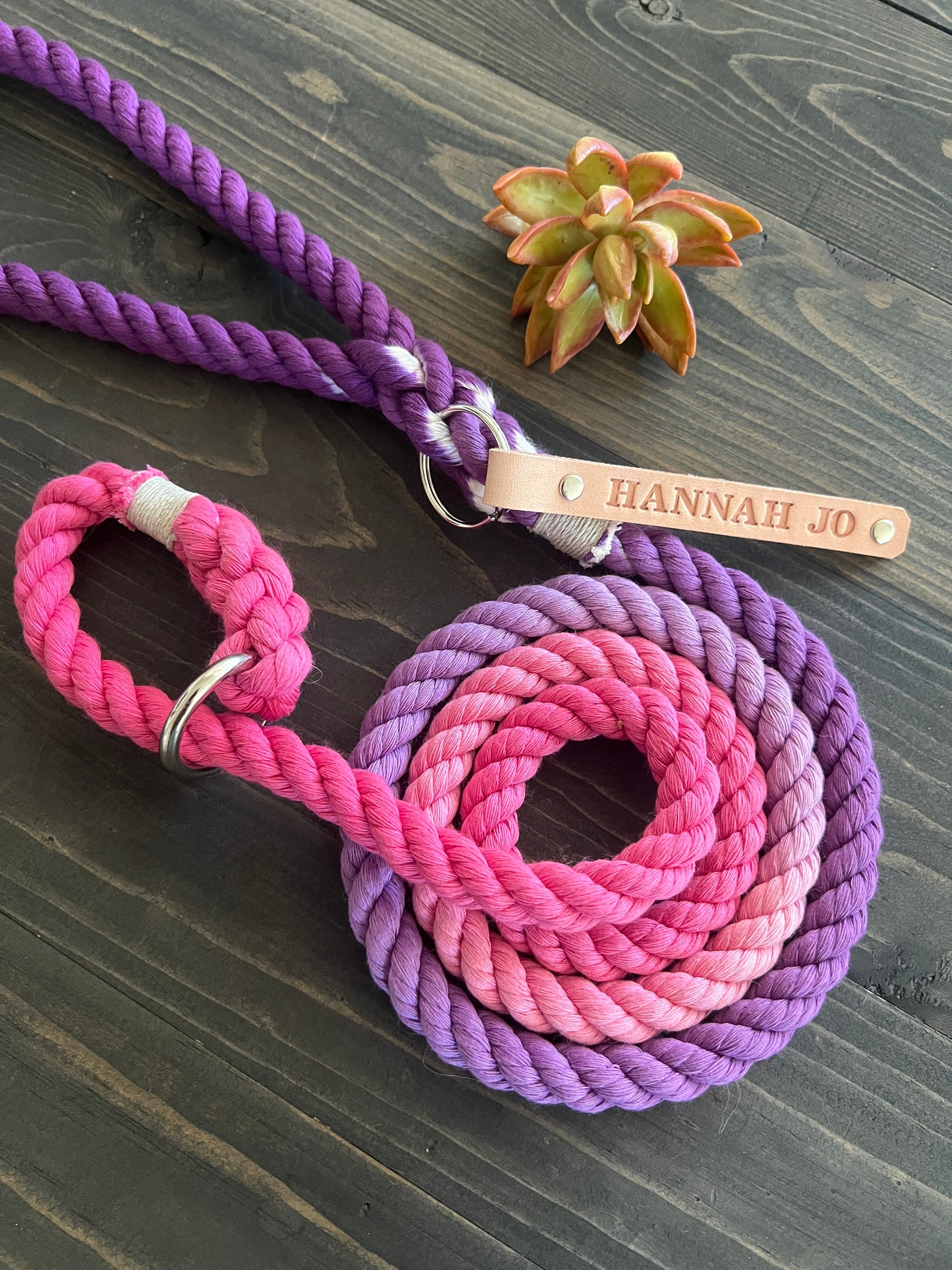 Ombre Slip Collar Dog Leash Dog Slip Lead Leash Ombre Rope Etsy