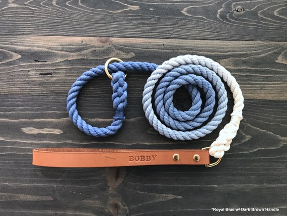 Leather top slip leash
