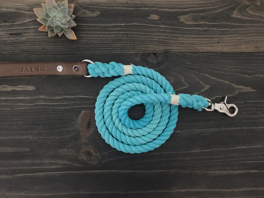 Single Color Dog Leash, Solid Color Dog Leash With Leather Handle