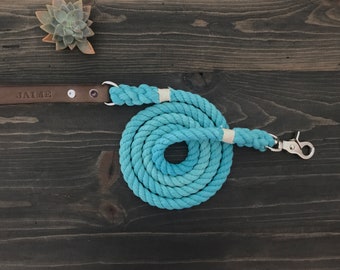 Single Color Dog Leash, Solid Color Dog Leash with Leather Handle, Leather Dog Leash, Dog Leash