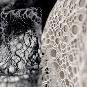 May include: Close-up of black and white lace fabric. The lace features a delicate, openwork design with various sized circular and oval openings. The fabric is draped, creating shadows and highlighting the intricate patterns. The image is in black and white.