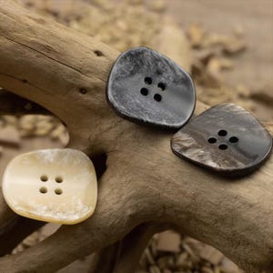 Könnte beinhalten: Drei unregelmäßig geformte Knöpfe in Creme-, Schwarz- und Grautönen mit jeweils vier Löchern. Die Knöpfe sind auf einem Stück Treibholz angeordnet und zeigen ihre natürlichen Texturen und Farben. Ideal für Näh- und Bastelprojekte.